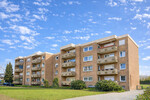 Ihre Kapitalanlage mit 16 Wohneinheiten! - Mehrfamilienhaus, Wohnhaus Senden | Angebot:25540067